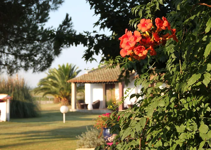 Hotel Mas Des Barres